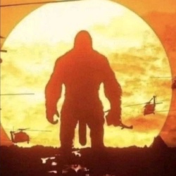 Benutzeravatar