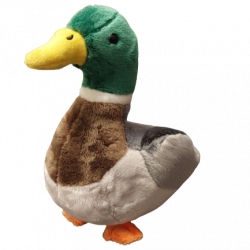 Benutzeravatar